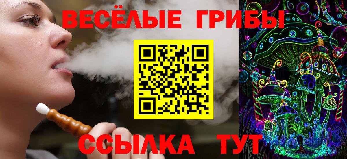 Псилоцибиновые грибы MAGIC MUSHROOMS  Вход с VPN  Батайск 