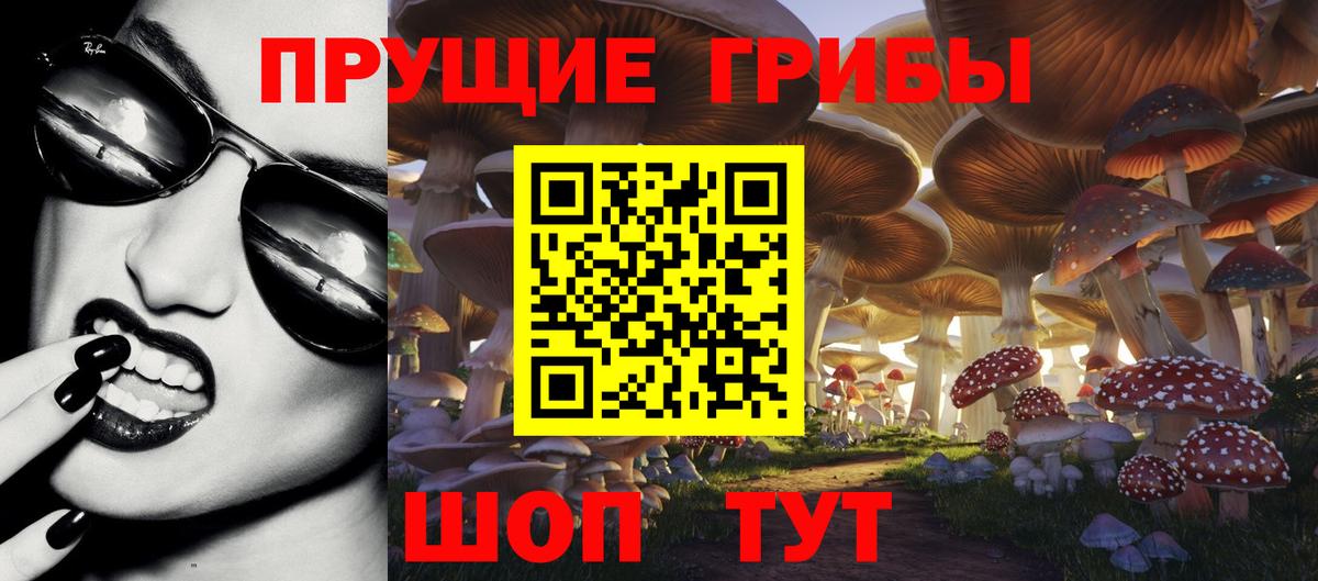 Галлюциногенные грибы GOLDEN TEACHER Батайск